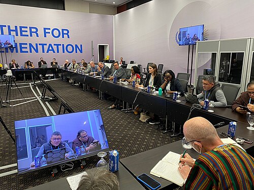 United Nations Framework Convention on Climate Change