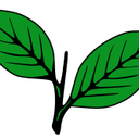 All India Anna Dravida Munnetra Kazhagam (AIADMK)