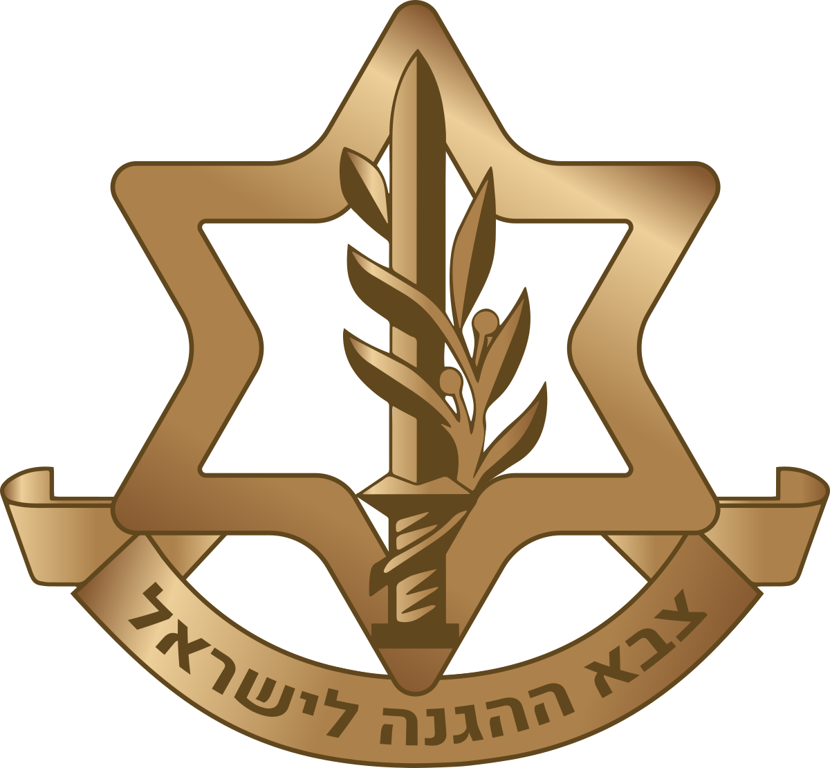 Israel Defense Forces (IDF)