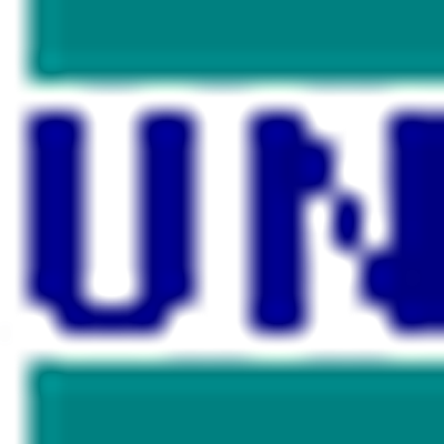 United Nations Security Council